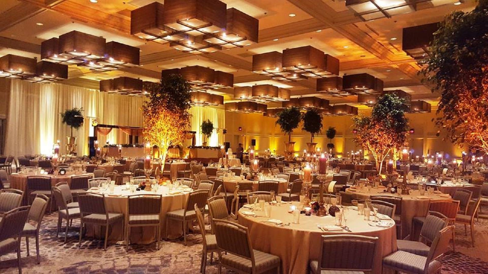 Cultural Chicago Weddings The Westin Northwest Host An Indian Wedding In Chicago